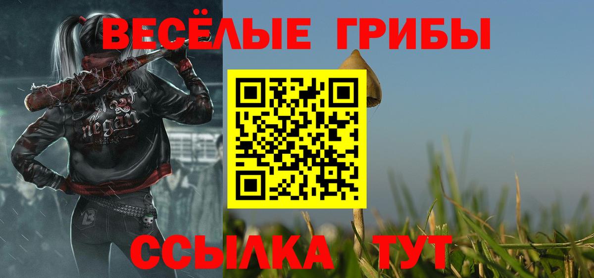 Галлюциногенные грибы MAGIC MUSHROOMS  Вход с VPN  Фролово 